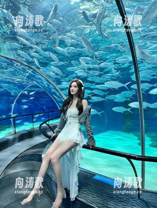51cg 吃瓜何必等?51cg1更新今天又有什么惊喜?