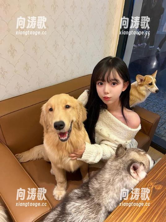 51吃瓜 欢迎搭乘51吃瓜的即刻线路,今天的瓜似乎更“让人不安”了…
