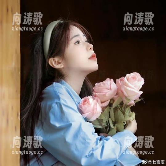 51吃瓜 51吃瓜fun导航:在全网八卦中,如何永不迷路?