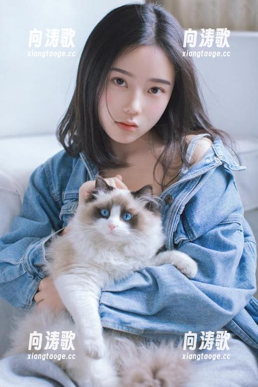 51吃瓜可不是小事，免费入口就在你的手指尖轻轻一触