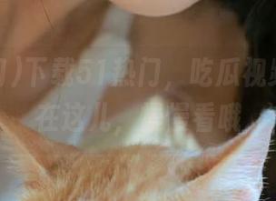 下载51热门，吃瓜视频全集都在这儿，慢慢看哦