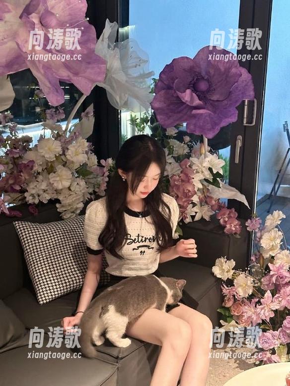 51黑料社 51黑料社地址大揭秘:你的吃瓜导航指南在这等你!