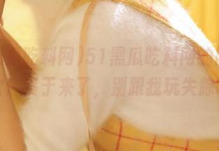 51黑瓜吃料网的网址，这次你终于来了，别跟我玩失踪啊！