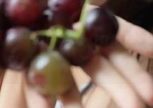 “58吃瓜”app让我又想追剧，又想讨论，脑袋好忙哦！