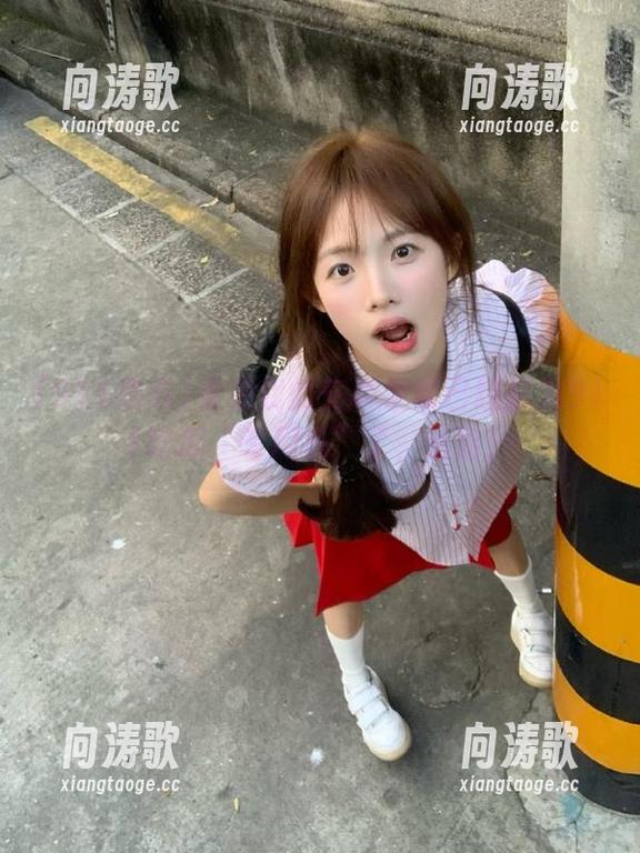 看来我的安卓手机已经成为911吃瓜“专用机”了，哈哈！