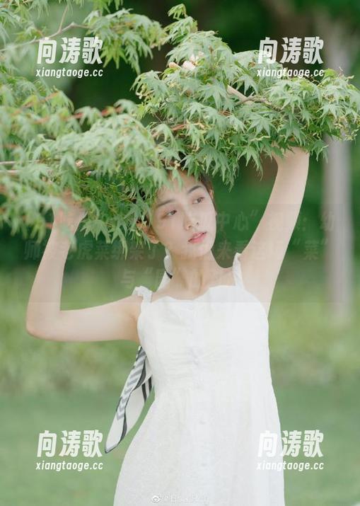 “91吃瓜中心”视频：幼师被老虎菜绑架了？我们来看这场“菜”与“园”的对决
