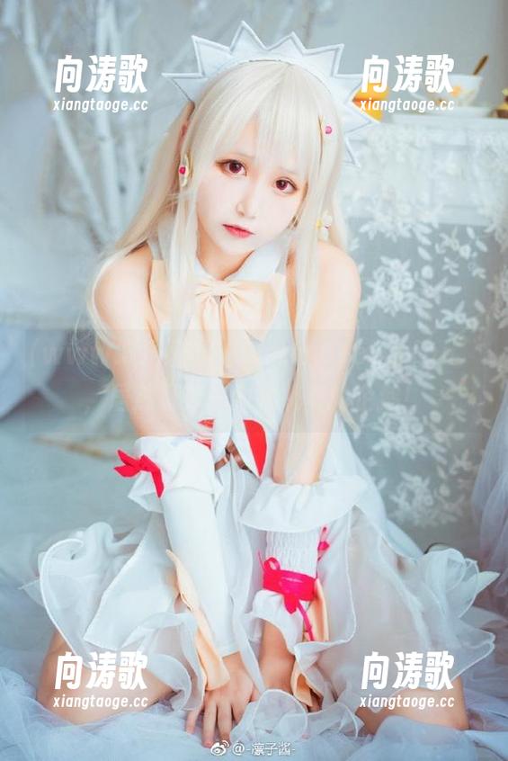 www.51 登录“www.51cg.1fan”,居然看到一只会跳舞的企鹅!