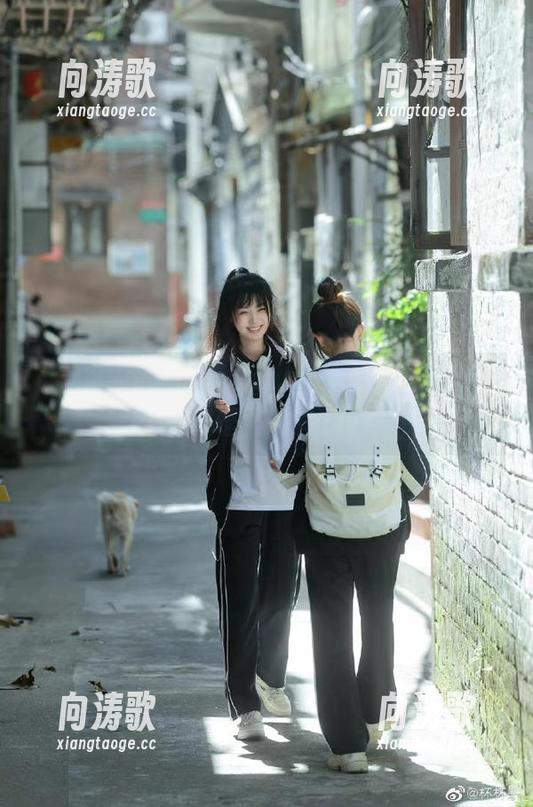 zztt 传送门踏入zztt11,你会学到多少奇奇怪怪的冷知识?
