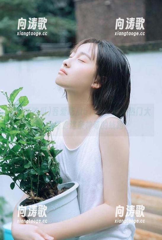 吾爱吃瓜51cg：最新热门大瓜，你得走这条神奇的线路！