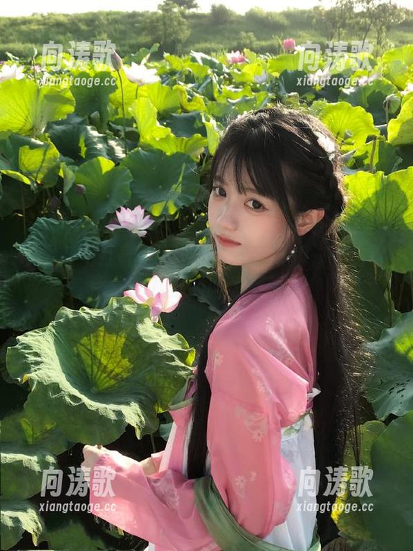 黑料不打烊苹果版——当软件成了八卦的“发源地”！