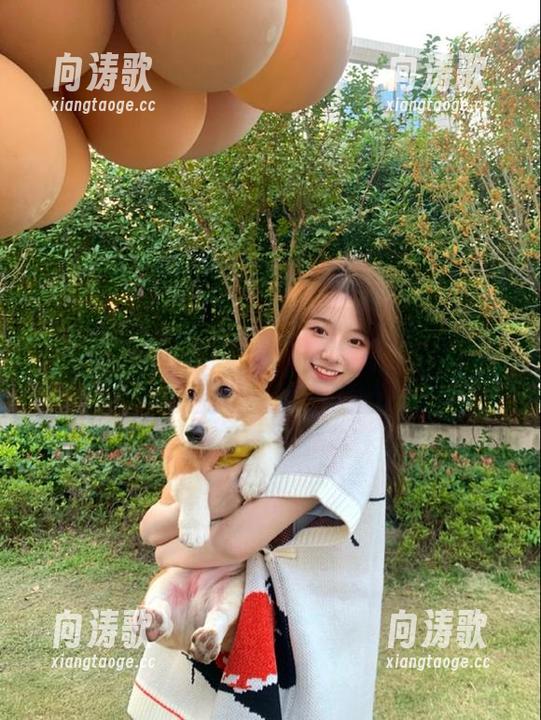 黑料不打烊 视频送爽,黑料不打烊tttzzz的网红们还在疯狂上演“尬聊大战”!