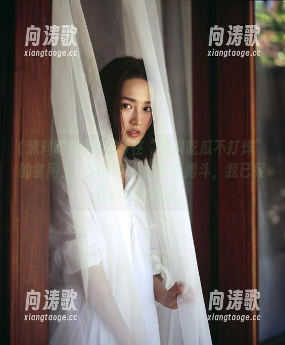 在“黑料吃瓜不打烊”的官网上，猫腻与八卦生死搏斗，我已经看得目瞪口呆。
