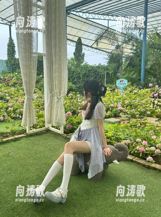 来吧，分享黑料头条，让你的社交圈更“添堵”一把