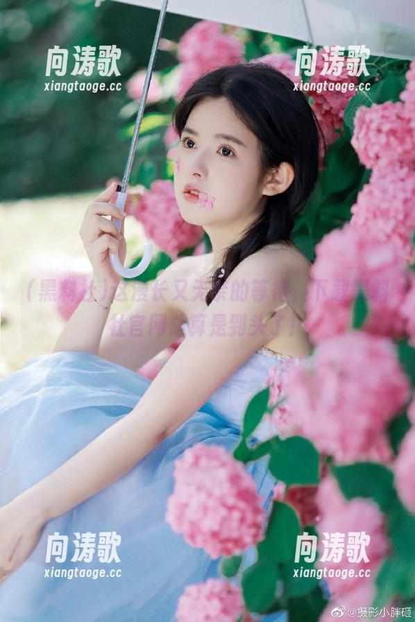 这漫长又无奈的等待，下载黑料社官网总算是到头了！