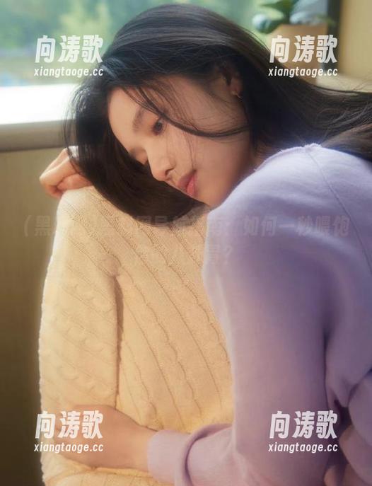 黑料网导航指南：如何一秒喂饱你的八卦胃？