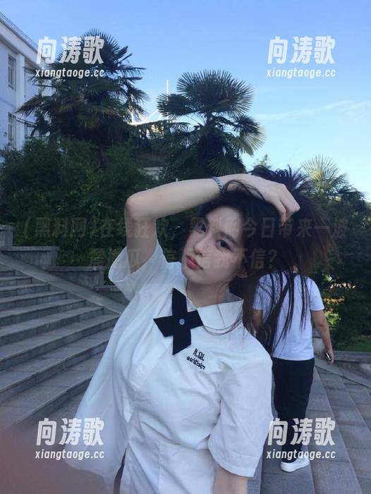 黑料网 在线狂欢,黑料网今日带来一波震撼瓜,信不信我不信?